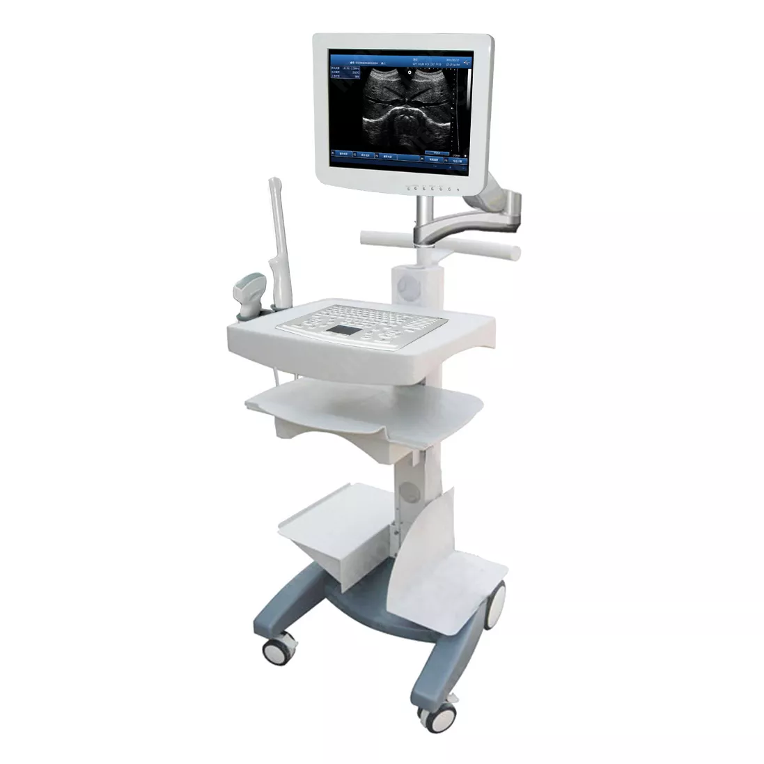 HLHBW-100 Touchscreen Trolley B/W Ultrasound scanner