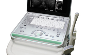 HLHBW-7 Laptop B/W Ultrasound Scanner