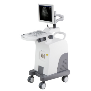 HLHBW-10P Full-digital Trolley Ultrasound Scanner