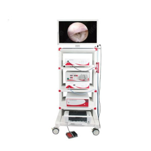 HLHAE-2000 Arthroscope Set