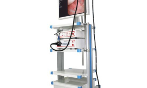 HLEMV-400D Video Duodenoscope