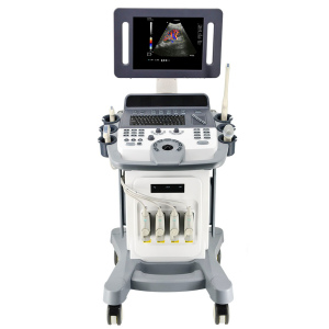 HLHUC-800 4D color doppler Ultrasound diagnostic system