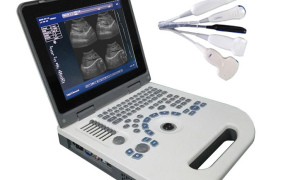 HLHBW-3 Plus B/W Ultrasound scanner