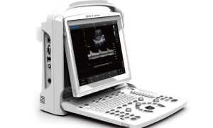 HLECO3 B/W Ultrasound scanner