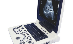 HLHBW-6P Laptop B/W Ultrasound Scanner