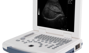 HLHBW-4 B/W Ultrasound scanner