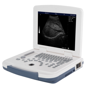 HLHBW-4 B/W Ultrasound scanner