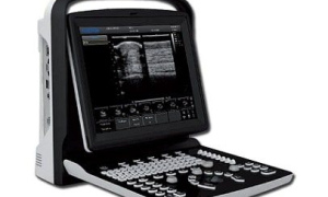 HLECO1 B/W Ultrasound scanner