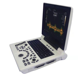 HLHBW-6 Laptop B/W Ultrasound Scanner