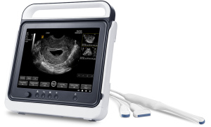 HLHBW-12 Touch B/W ultrasound scanner