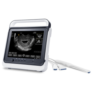 HLHBW-12 Touch B/W ultrasound scanner